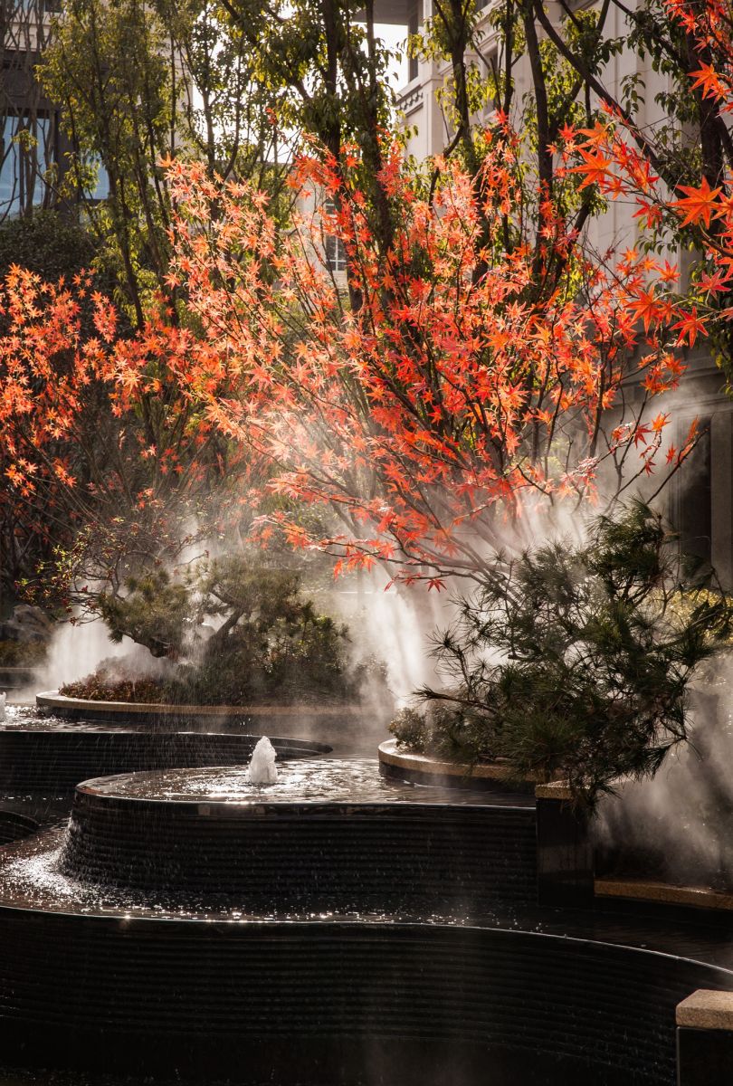 園冶杯大獎(jiǎng)獲得者虞金龍:用匠心精神做設(shè)計(jì)