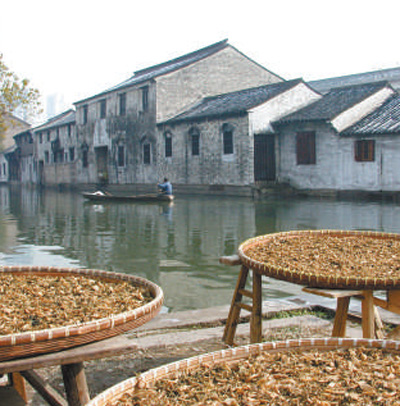 小橋流水人家——紹興歷史街區(qū)的復(fù)興