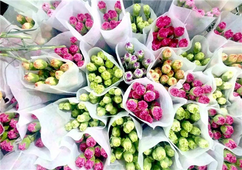 2018中國花卉市場回顧:風云變幻 電商崛起