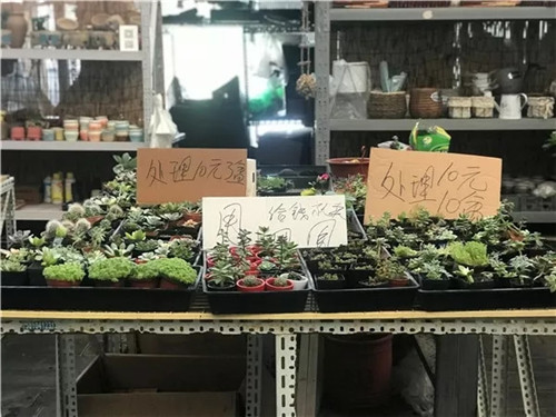 2018中國花卉市場回顧:風云變幻 電商崛起