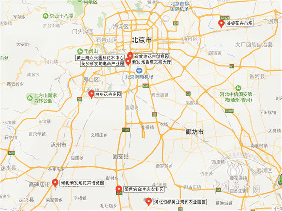 北京花卉市場疏解搬遷現狀調查