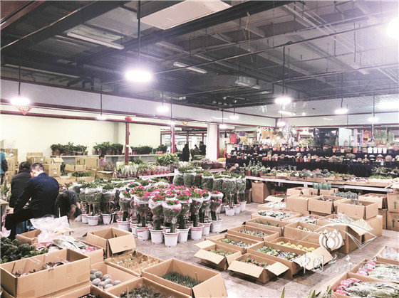 北京花卉市場疏解搬遷現狀調查