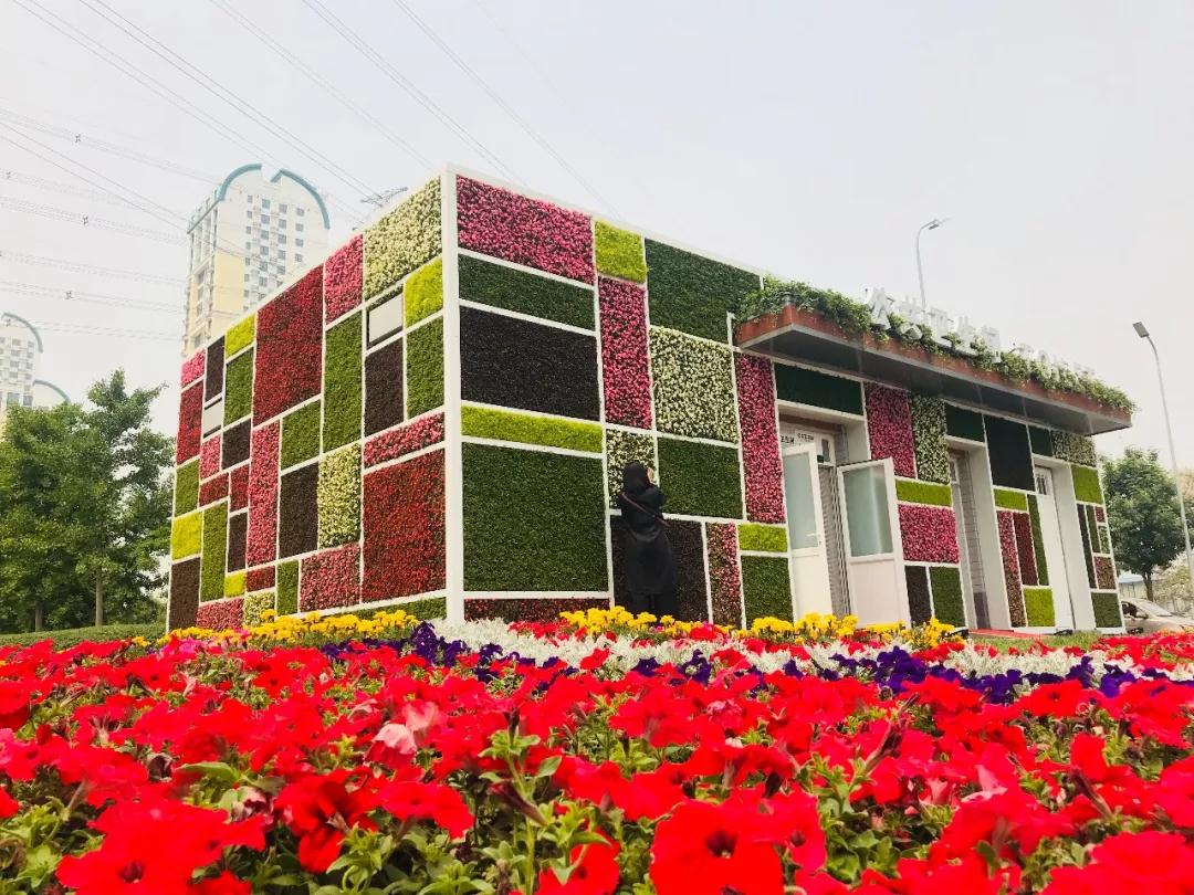 于運(yùn)樂(lè)：網(wǎng)紅廁所的創(chuàng)意達(dá)人