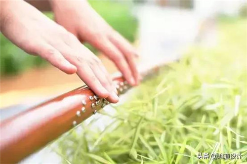 一個破舊機場與康養(yǎng)設(shè)計的曠世奇緣