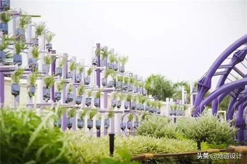 一個破舊機場與康養(yǎng)設(shè)計的曠世奇緣