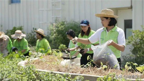 一個破舊機場與康養(yǎng)設(shè)計的曠世奇緣