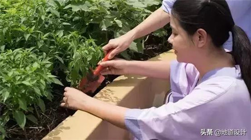 一個破舊機場與康養(yǎng)設(shè)計的曠世奇緣