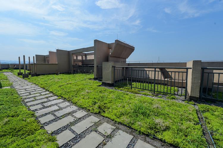 悅來試點海綿城市建設 三大亮點可以“復制”