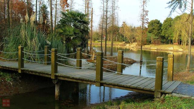 森林康養旅游會發展成什么樣?