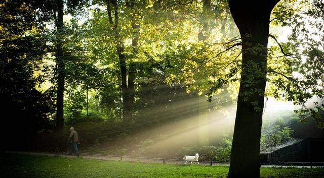 森林康養旅游會發展成什么樣?