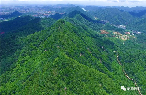 林城山水中,享一份寧靜——廣東中山國家森林公園