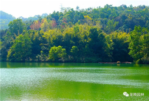 林城山水中,享一份寧靜——廣東中山國家森林公園