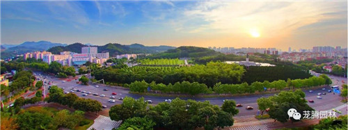 林城山水中,享一份寧靜——廣東中山國家森林公園