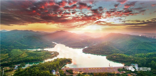 林城山水中,享一份寧靜——廣東中山國家森林公園