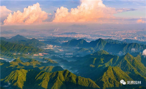 林城山水中,享一份寧靜——廣東中山國家森林公園