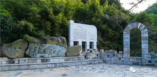 林城山水中,享一份寧靜——廣東中山國家森林公園