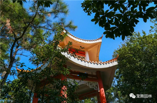 林城山水中,享一份寧靜——廣東中山國家森林公園