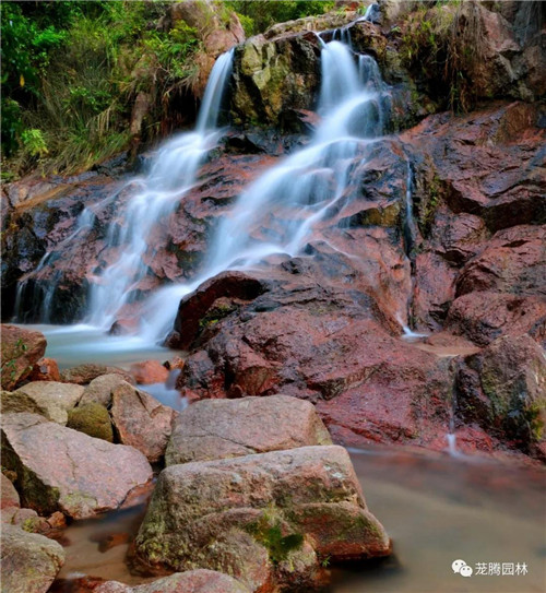 林城山水中,享一份寧靜——廣東中山國家森林公園
