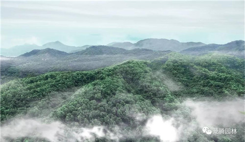 林城山水中,享一份寧靜——廣東中山國家森林公園