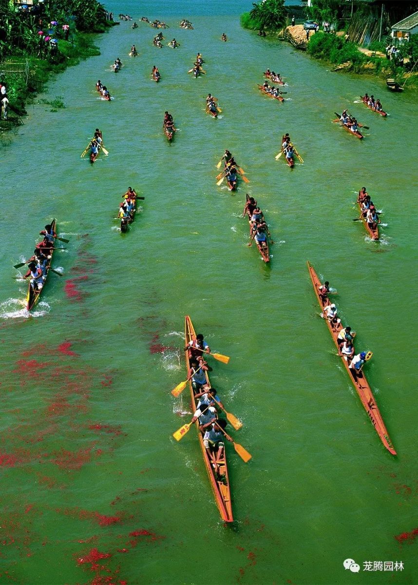 林城山水中,享一份寧靜——廣東中山國家森林公園