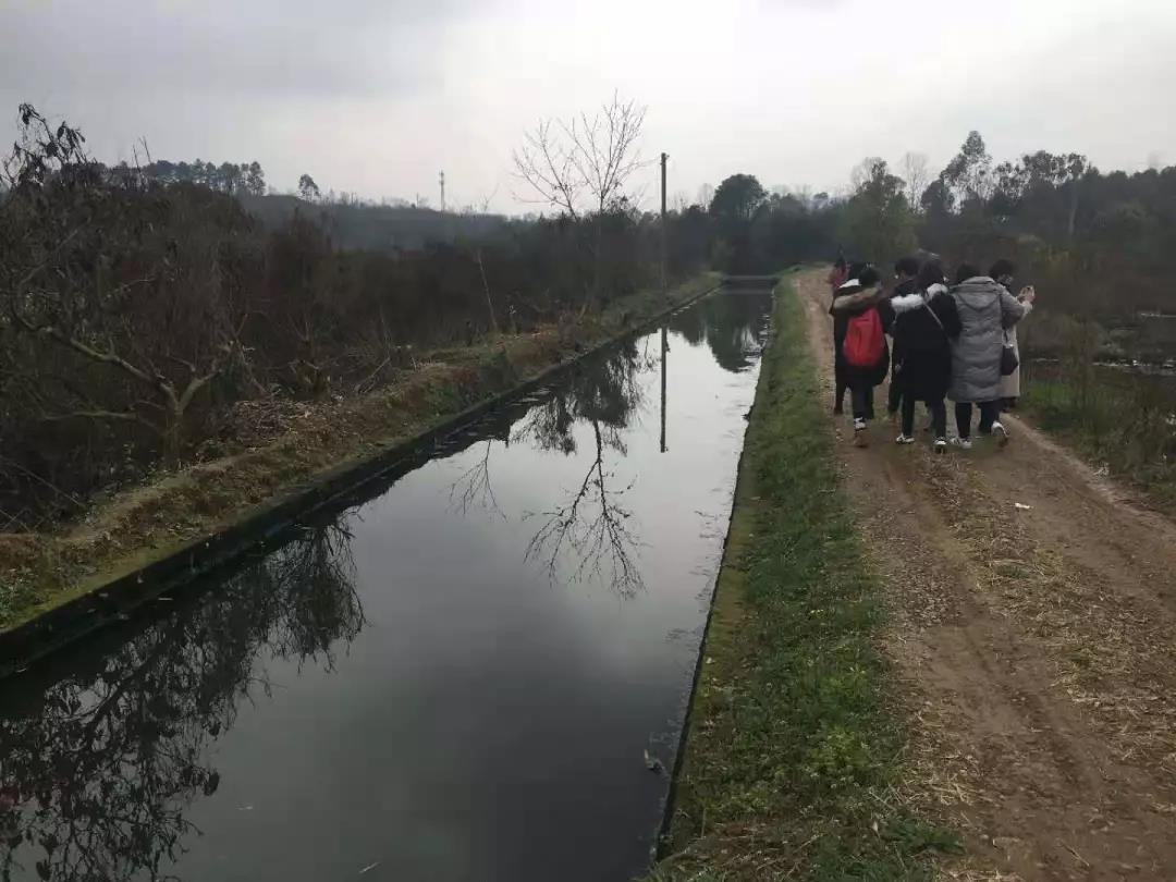 2019西部四校聯(lián)合畢業(yè)設(shè)計正式拉開帷幕