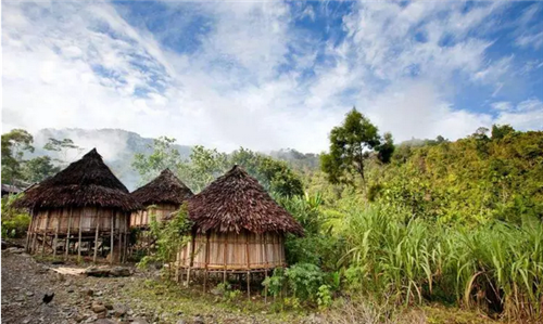 都市圈時代來了，鄉村振興的重大利好消息！