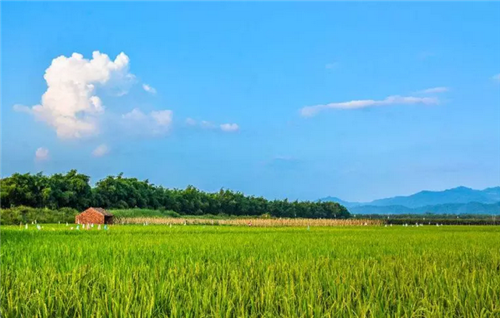 都市圈時代來了，鄉村振興的重大利好消息！