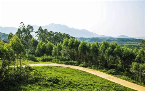 都市圈時代來了，鄉村振興的重大利好消息！