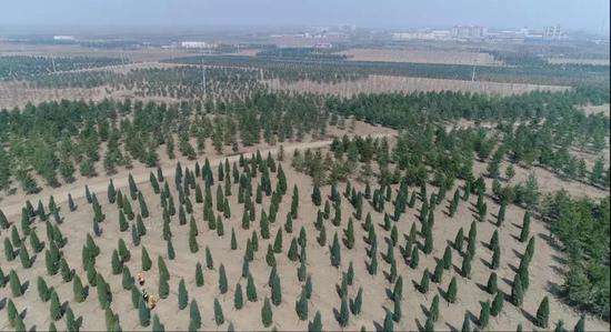雄安2022年森林覆蓋率將達(dá)23%