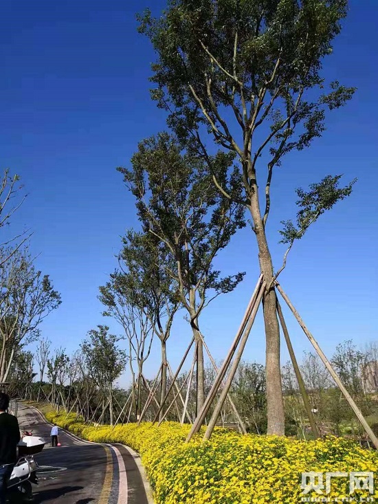 全國首個綠道設計真人秀等你來秀