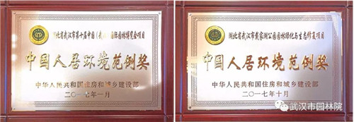 武漢園林設計院2019崗位已備好，“職”等你來選