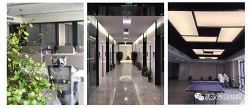 武漢園林設計院2019崗位已備好，“職”等你來選