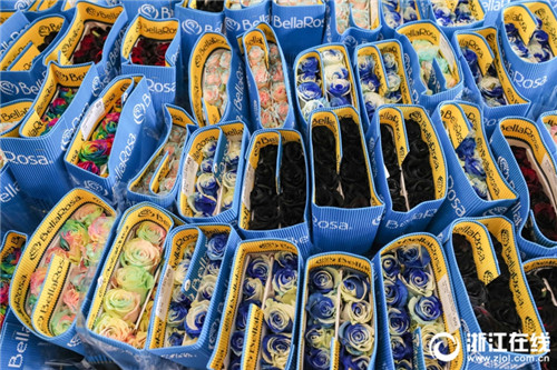 備戰“三八婦女節” 杭州花卉市場香正濃