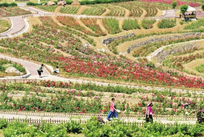 北京市鄉村振興戰略規劃(2018-2020年)解讀