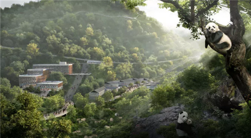 成都熊貓保護區(qū)制定總體規(guī)劃