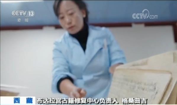 布達拉宮建筑設計圖首次亮相