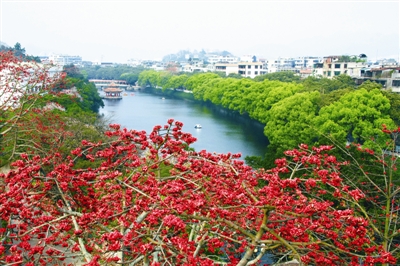 打造優(yōu)美宜居的潮人生態(tài)家園