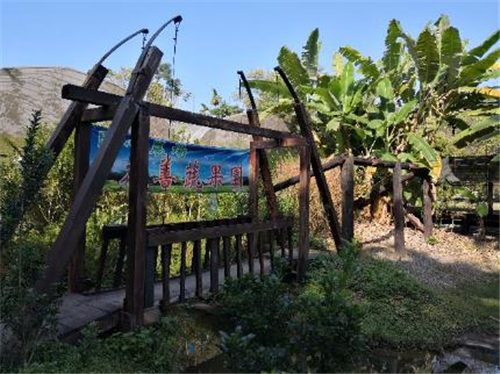 朱玲:鄉村設計之生命力——設計與產業協同