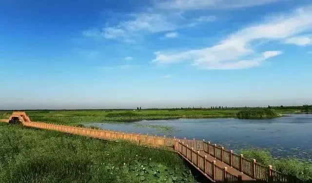 1500畝示范區(qū)!雄安新區(qū)這一項(xiàng)目最新進(jìn)展