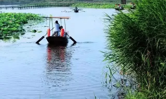 1500畝示范區(qū)!雄安新區(qū)這一項(xiàng)目最新進(jìn)展