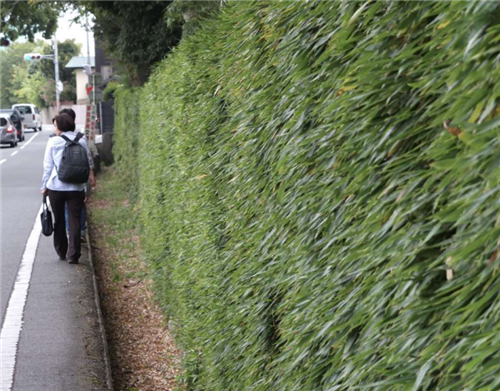 若山滋:中國與世界的空間思想