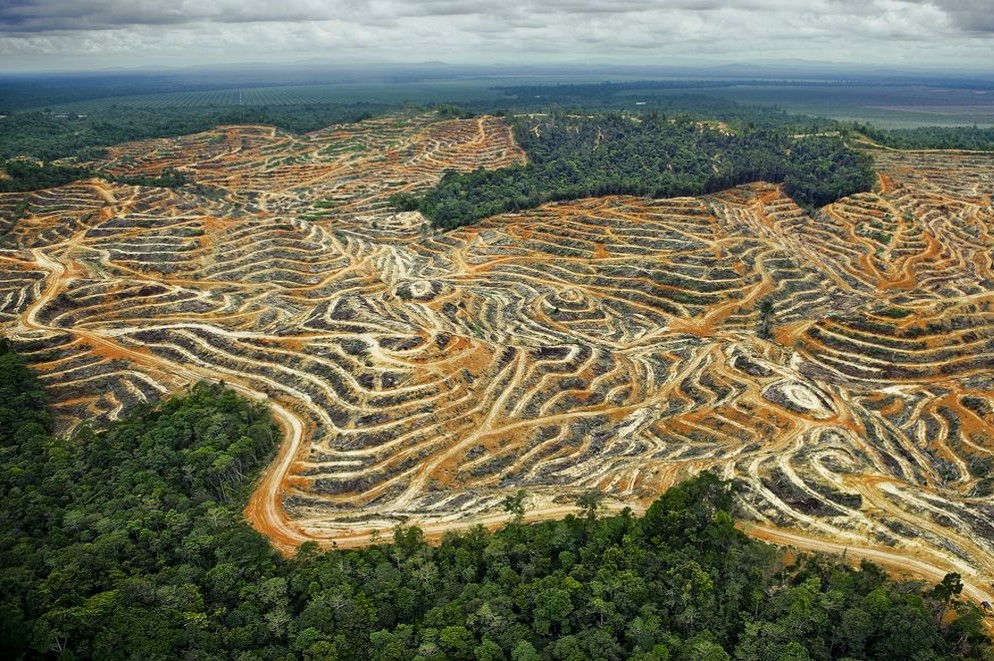 李俊鴻:自然·延續