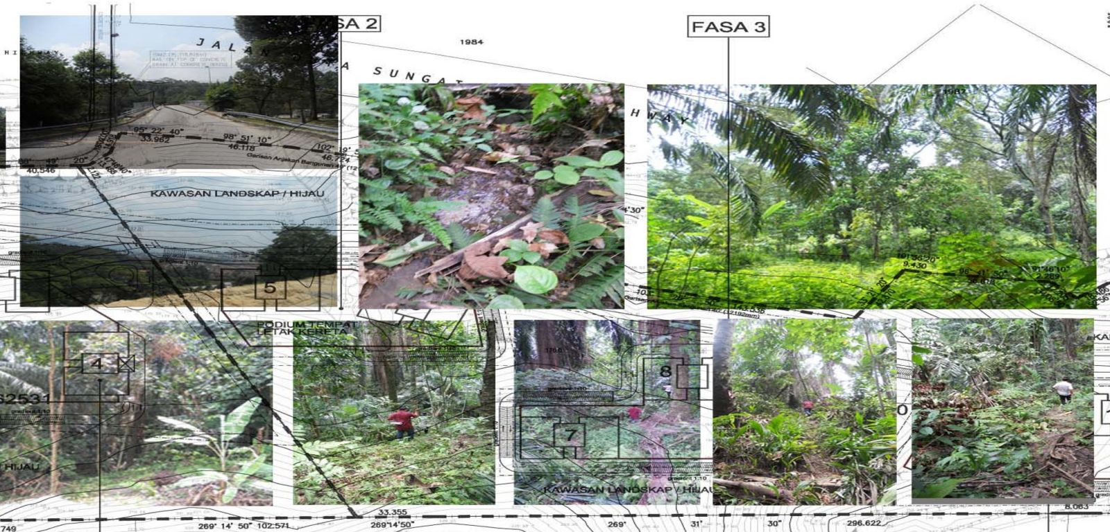 李俊鴻:自然·延續