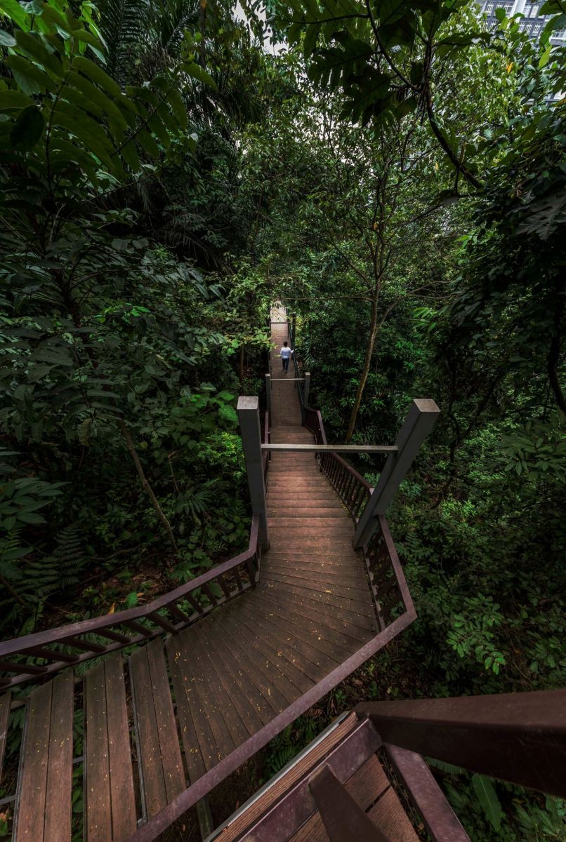 李俊鴻:自然·延續