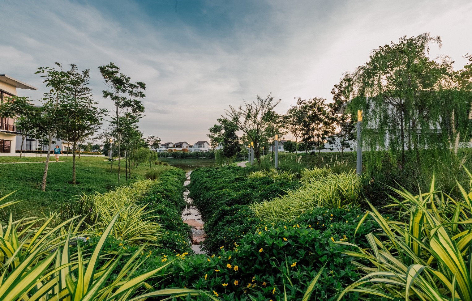 李俊鴻:自然·延續