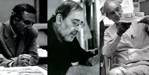 中國建筑師如何丟失了中國建筑的“黃金十年”?