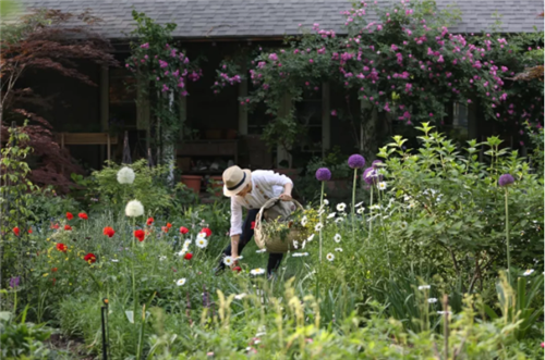 中國最時尚的未來花世界，帶你一探究竟！