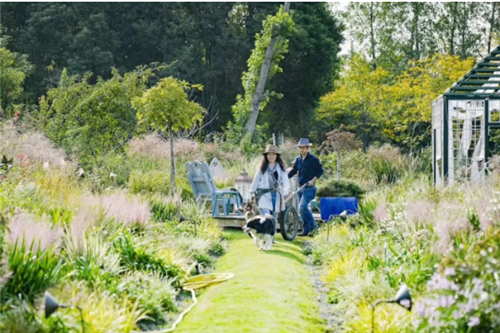 中國最時尚的未來花世界，帶你一探究竟！