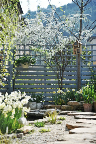 中國最時尚的未來花世界，帶你一探究竟！