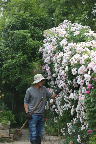 中國最時尚的未來花世界，帶你一探究竟！